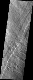 PIA22017: Investigating Mars: Pavonis Mons