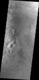 PIA22029: Investigating Mars: Moreux Crater
