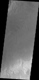 PIA22030: Investigating Mars: Moreux Crater