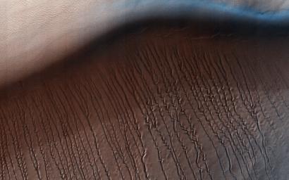 PIA22052: Squiggles in Hellas Planitia