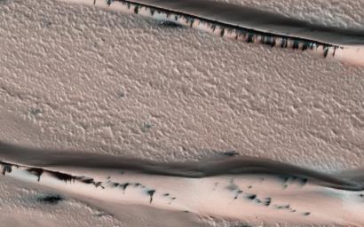 PIA22053: Defrosting Dunes within Chasma Boreale