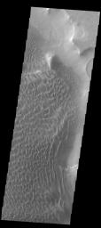 PIA22142: Investigating Mars: Rabe Crater