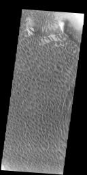 PIA22144: Investigating Mars: Rabe Crater