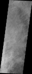 PIA22156: Investigating Mars: Arsia Mons