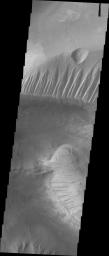 PIA22165: Investigating Mars: Candor Chasma