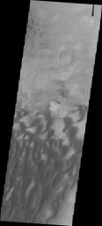 PIA22261: Investigating Mars: Kaiser Crater Dunes