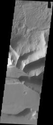 PIA22270: Investigating Mars: Tithonium Chasma