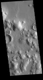 PIA22377: Arcadia Planitia Hills
