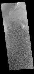 PIA22501: Rabe Crater Dunes