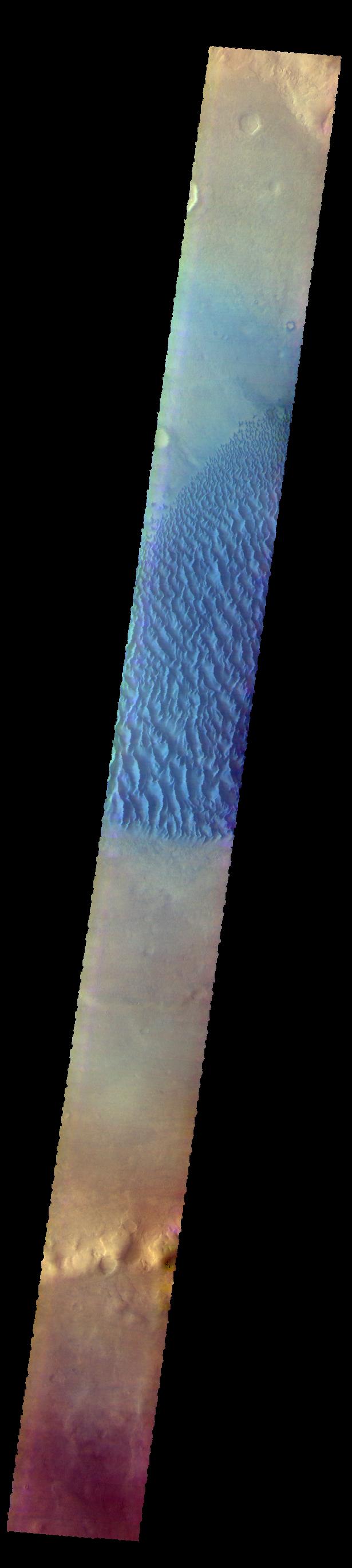 PIA22670: Proctor Crater Dunes - False Color