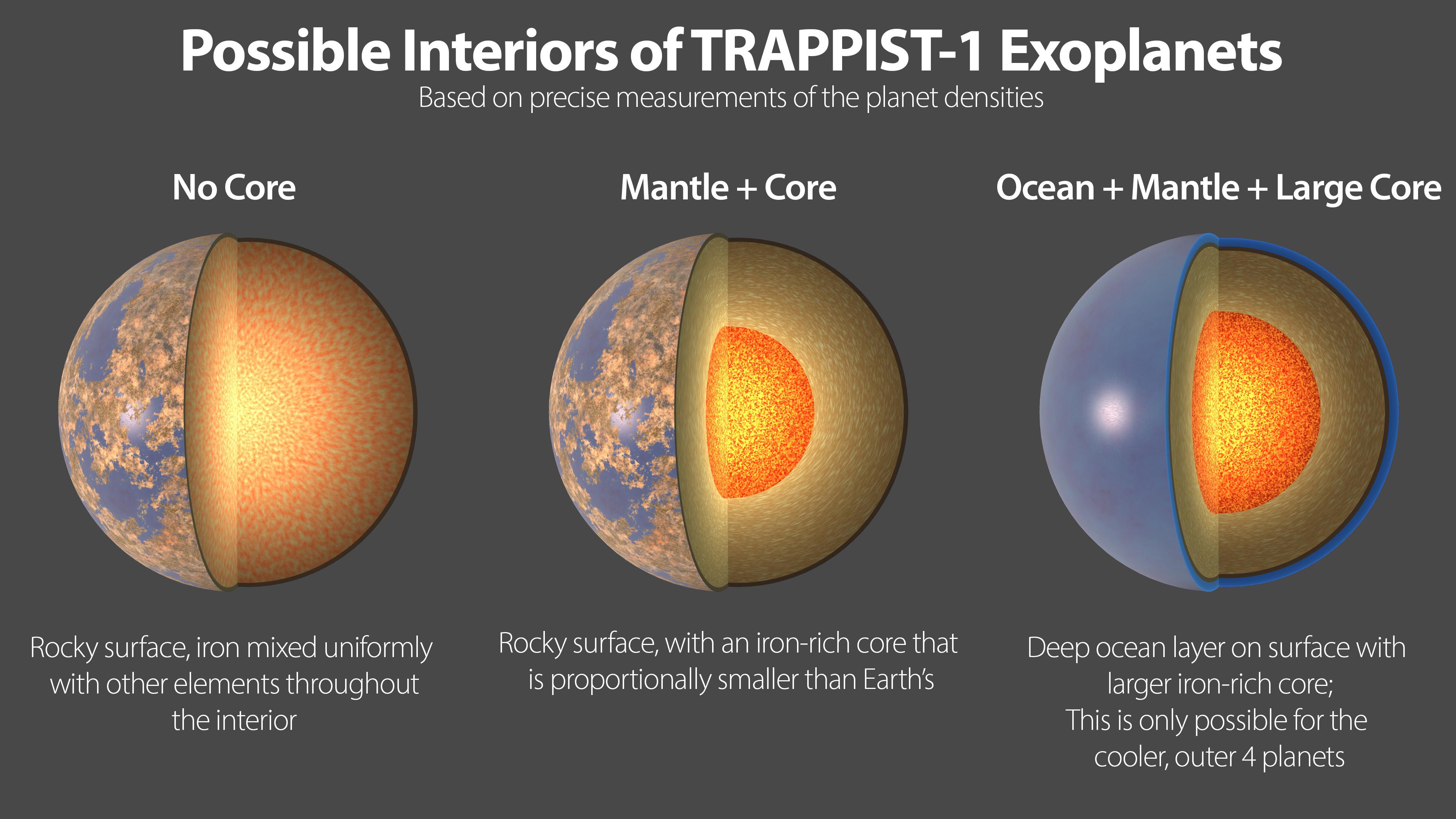 PIA24372: Possible Interiors of the TRAPPIST-1 Exoplanets