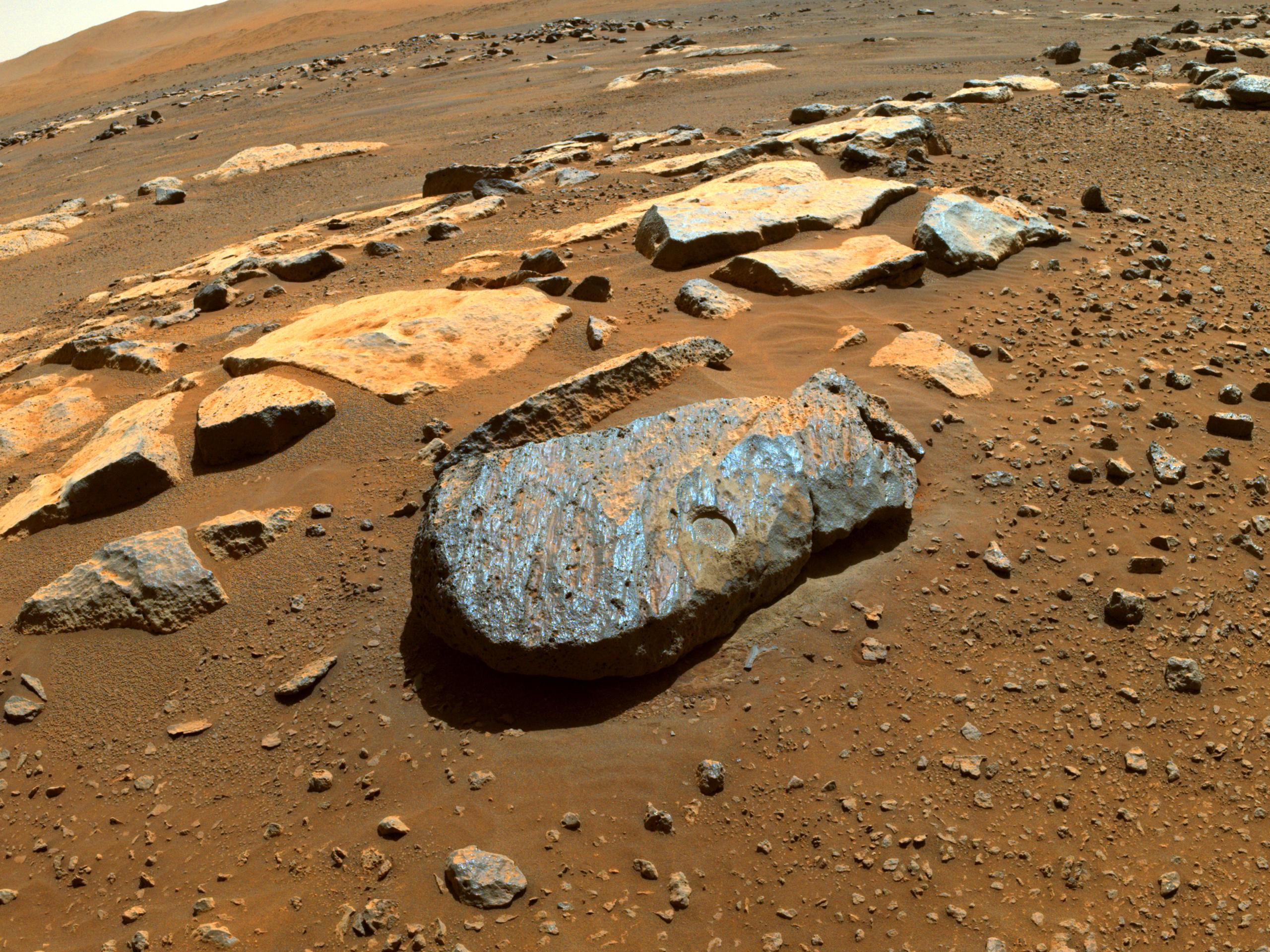 PIA24839: Abrasion Patch on Rochette