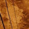 PIA00147: Venus - False Color Image of Alpha Regio