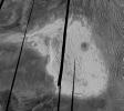 PIA00149: Venus - Maxwell Montes and Cleopatra Crater