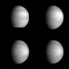 PIA00223: Venus - Multiple Views of High-level Clouds