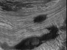 PIA00242: Venus - Ovda Regio