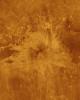 PIA00272: Venus - Simulated Color of Ushas Mons