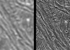 PIA00277: Ganymede - Comparison of Voyager and Galileo Resolution