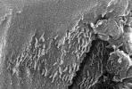 PIA00284: Mars Life? - Microscopic Tube-like Structures