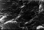 PIA00287: Mars Life? - Microscopic Tubular Structures