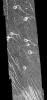 PIA00467: Venus - Lavinia Region