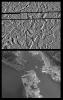 PIA00597: Europa Ice Rafts and similar scales on Earth