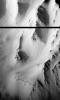 PIA01022: Western Tithonium Chasma/Ius Chasma, Valles Marineris - High Resolution Image