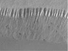 PIA01034: Evidence for Recent Liquid Water on Mars: Gullies at 70°S in Polar Pit Walls