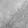 PIA01446: Windblown Dunes on the Floor of Herschel Impact Basin