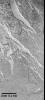 PIA01494: Ancient Lakes on Mars? Results for Elysium Basin