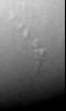 PIA02220: Neptune Shadows