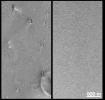 PIA02311: Mars Polar Lander and Mars Pathfinder Sites Compared