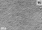 PIA02312: Mars Polar Lander Site Surface Details