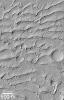 PIA02359: Ancient Paleo-Dunes Battered by Impact Craters