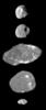 PIA02530: Jupiter Small Satellite Montage
