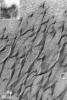 PIA03176: Dunes in Herschel Crater (Herschel Crater: 15.7 S, 228.8 W)