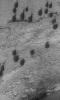 PIA03258: Copernicus Dunes