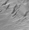 PIA03754: Gullies and Layers in Crater Wall in Newton