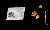 PIA03888: Io's Gish Bar Volcanic Region in Infrared