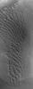 PIA04129: Nilosyrtis Dunes