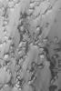 PIA04509: Chasma Boreale Dunes