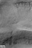 PIA04548: Gullies in Terraced Crater Wall