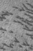 PIA04573: Sand Dunes of Schaeberle Crater