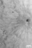 PIA04619: Fresh, Rayed Impact Crater