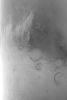 PIA04810: Noachis Dust Storm