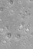 PIA04838: Isidis Planitia