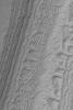 PIA04898: South Polar Layered Slope