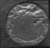 PIA05523: The Biggest Microscopic Image Ever