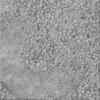 PIA05650: 'Vanilla' Under the Microscope