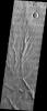 PIA05662: Multiple Channels in Warrego Valles